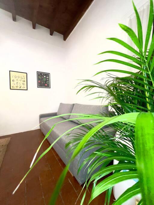 Casa Centro Firenze Wi Fi Aria Condizionata Netflix Apartamento Exterior foto